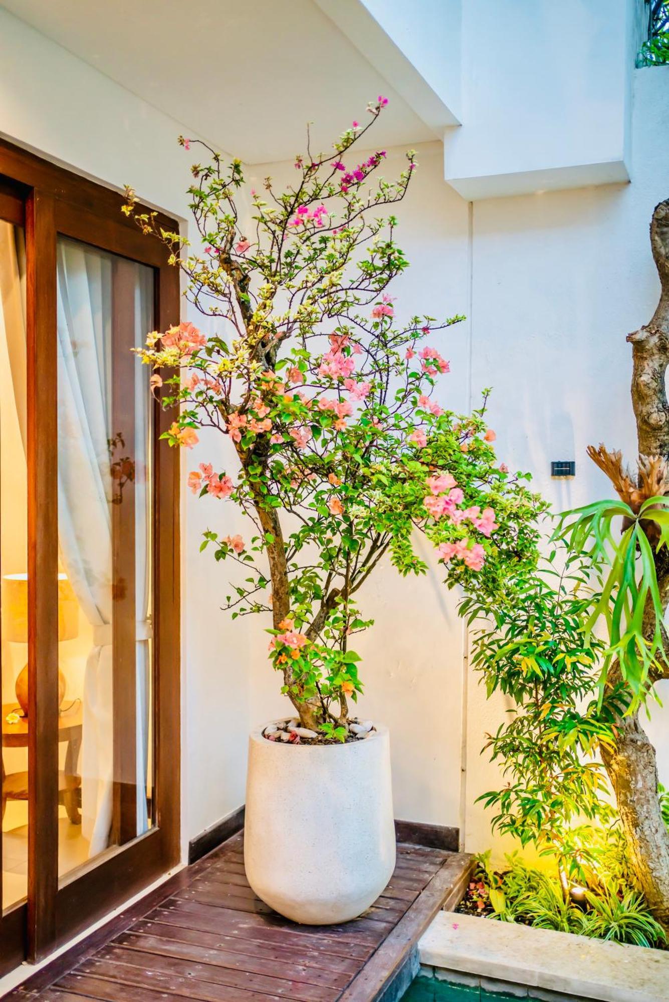 Villa Julissa Seminyak (Bali)